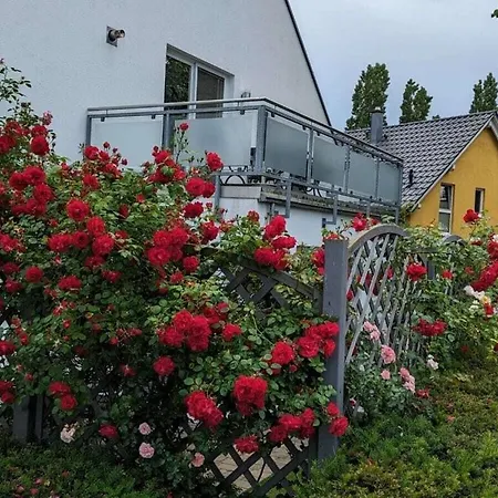 Sweet Spot At Fleesensee * Goehren-Lebbin